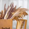 Flores decorativas Ramo de flores secas Conjunto Arreglos Naturaleza Fluffy Pampas Hierba Decoración de la boda Cola Artificial Boho Hogar D291w