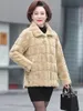 Manteau en molleton de vison d'âge moyen pour femmes mélangés Plus coton épaississement automne et hiver veste rembourrée en laine Parka courte Abr