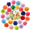 Köpek giyim moda katı gazlı bez yaylar kaydırılabilir yakalı büyük çiçek yakalı malzemeler papyon evcil hayvan aksesuarları