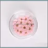 Fleurs décoratives couronnes pressées de fleur de prune narcisse séchée avec boîte pour les bijoux en résine époxy fabriquant un nail art bricolage otj6u