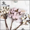 Decorative Flowers Wreaths Natural Immortal Dried Cotton Artificial Plants Floral Branch Wedding Party Decoration Fake Home 1954 D Dhgpe