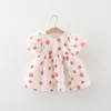 Abiti da ragazza Abiti estivi Vestiti per bambini nati Toddler Cartoon Cute Strawberry Short Sleeve Infant Princess Dress BC195
