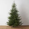 Christmas Decorations 1.8 M Household Environmental Protection Luxury Decorative Tree Package 1.5 Luminous Encryption Simulation