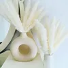 Decorative Flowers Natural Pampas Grass Fluffy Small Reeds Bouquet Boho Living Room Decoration Tail Dried For Wedding