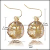 Dangle Chandelier Designer Geometric Druzy Resin Stone Earrings For Women Girl Fashion Colorf Round Shell Paper Gold Plated Hook E Otb4Z
