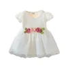 Girl Dresses Lovely Floral Sleeveless Dress Toddler Infant Kids Baby Girls Born Princess Party Tulle 6M-3 Years