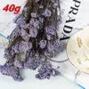 Dekorative Blumen natürliche getrocknete echte ewige Hirse Blumenstrauß DIY Zubehör für Wohnzimmer Home Hochzeit Mariage Boheme Dekor