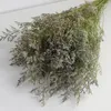 Decoratieve bloemen 80 g/lot primaire kleurenliefhebber gras Gedroogd bloem echt boeket voor huis bruiloft winkelkamer decor witte roze groene takken