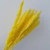 Decorative Flowers Natural Pampas Grass Fluffy Small Reeds Bouquet Boho Living Room Decoration Tail Dried For Wedding