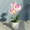 Fiori decorativi Bonsai artificiali Realistico di lunga durata dai colori vivaci Desktop Finto Seta Farfalla Orchidea Fiore Decorazione per feste