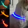 Köpek yakaları LED yanıp sönen yakalı Pet emniyet kemeri su geçirmez ışık ışıltısı gecikme anti-kayıp uyarı kedi ve kesilebilir