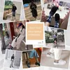 Mulheres meias 5 pares de fêmeas de algodão Lattice Youth e Beautiful japonês Kawaii Style Tube JK meias