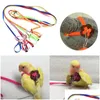 Other Bird Supplies Pet Parrot Traction Strap Antibite Training Rope Outdoor Leash Adjustable Harness For Hamster Lizard Drop Delive Dhjkr