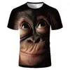 Men's T Shirts 2023 Tiger Men 3D Printed T-shirt Black Ferocious Street Unique Fashion Clothing Boy Summer Tee Top