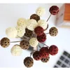 Decorazione per feste 5 pezzi/lotto fiori secchi decorativi naturali per la casa accessori per la lavorazione fai da te frutta decorazioni rustiche decorazioni di nozze