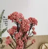 Dekoratif Çiçekler 10 PCS Doğal kurutulmuş ölümsüz darı çiçek yapay ramillete Flores Eternell Buket Ev Dekoru Çelenkleri