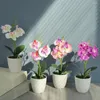 Fiori decorativi Bonsai artificiali Realistico di lunga durata dai colori vivaci Desktop Finto Seta Farfalla Orchidea Fiore Decorazione per feste