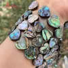 Pärlor 14mm 16mm hjärtblomma Multicolor Abalone Shell Natural Stone Spacer Pärla för DIY Kvinnor Män halsbandsarmband smycken som gör 15 "