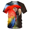 Camisetas masculinas Flor de planta e padrão de pássaro 3D T-shirt Summer Tops Tops Funny Graphics Streetwear