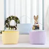 Wholesale Striped Easter Basket Festive Seersucker Plaid Candy Gift Bucket Kid Toy Storage Bag Portable Food Baskets FY5652 ss0119