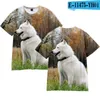 Herr t-skjortor härlig hundskjorta o-hals mode t-shirts män/kvinnor kort ärm barn casual pojkar flickor överdimensionerade toppar