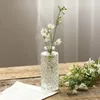 Vases Vase en verre Nordic Décoration de la maison Arrangement de fleurs Conteneur Pot d'intérieur Belle pièce Balcon Ornement