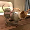 Vêtements pour chiens chiot hiver