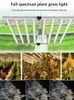 Grow Lights Lampada a spettro completo a luce led rimovibile per la coltivazione di piante da tenda da interni con spina da 1,8 milioni di Stati Uniti