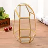 Jewelry Pouches Vintage Decorative Box Brass Glass Terrarium Container Desktop Planter For Succulent Fern Moss Air Plants Holder MXMF