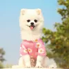 Vêtements pour chiens Vêtements pour chats Printemps été et automne Voyage Produits pour animaux de compagnie Teddy Bichon Petite marguerite de taille moyenne