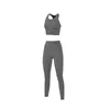 Active Sets CHREIFIT Autumn Yoga Set Women Professional Sports Quakeproof Fitness Bra High Waist Training Leggings 2 Pcs Suits