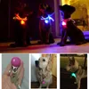 Colliers pour chiens 1PC collier pendentif lumineux nuit sécurité lampes de poche LED accessoires pour animaux de compagnie brillent dans le noir collier lumineux