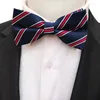 Noeuds papillon Unique Hommes Bowtie Paisley Géométrique Couleur Correspondant Ascot Cravate Business Bowknot Corbatas Pour Groom Party Vêtements Accessoire