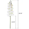 Couronnes de fleurs décoratives 4 pièces 38 pouces orchidées de contact réelles artificielles 9 têtes tiges de Phalaenopsis en latex pour centres de table de mariage bricolage