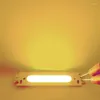 2835 COB LED Sorgente di perline di luce portatili di piccole dimensioni per luci per auto fai-da-te Lampade da lavoro Lampadine domestiche Colore giallo bianco caldo