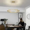 مصابيح قلادة حديثة LED Iron Industrial Lamp