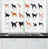 Tenda Cani multicolori Tende da cucina Infografica sugli animali domestici Diverse razze Nomi scritti Viste laterali Tende per finestre