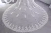 Bridal Veils 2023 White Ivory Two Layers 350cm Lace Cathedral Wedding Veil With Comb Veu De Noiva Longo Com Renda