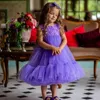 Girl Dresses Flowers Baby Sheer Neck Ball Gown First Birthday Party Gowns Girls Pageant