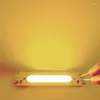 15mm Tiny 2W 12V COB LED Işık Boncukları İş Sinyal Lambası için Sarı Sıcak Beyaz Renk Diy ampulleri Süpermarket Aydınlatma