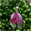 Collane con ciondolo Moda Campione di fiori secchi Cabochon in vetro ovale Albero della vita Catene in corda di cera in pelle per le donne Gioielli fai da te Regalo Dhset