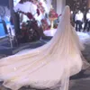 Véus de casamento de lantejoulas brilhantes para noivas marfim champanhe tule uma camada brilho véus de noiva longa catedral acessórios de cabelo feminino al8233