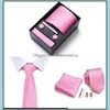 Boyun kravat seti hediye kutusu özel kişiselleştirilmiş erkek bağları hankie manşetler setleri boyunbağı paisley kravatlar çizgili kravat erkekler için düğün