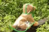 Hondenkleding transparante regenjas voor kleine honden waterdichte regenpak huisdier jas gouden retriever kleding ponchodog