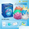 الاكتشاف العلمي Crystal Crystal التجريبي مجموعة الجدة الجدة سهلة DIY STEM Toy Lab Experience Games Educational Gift for Ki Dhmrl