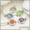 Pendant Necklaces Pendants Jewelry Stainless Steel Essential Oil Diffuser Glow In The Dark Aromatherapy Locket Sier Chain For Women Dhnjo