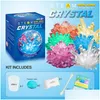 الاكتشاف العلمي Crystal Crystal التجريبي مجموعة الجدة الجدة سهلة DIY STEM Toy Lab Experience Games Educational Gift for Ki Dhmrl