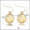 Dangle Chandelier Resin Shell Paper Waterdrop Earring Geometric Golden Plated Dangles Charm Fashion Jewelry For Women Girl Y Drop Dhv7I