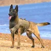 개 의류 전술적 하네스 애완 동물 군용 훈련 조끼 독일 셰퍼드 몰일 중간 큰 개