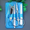 Nail Art Kits 4 PCS/Set Clipper Cutters Kit Pedicure Scissor Tweezer Mes Mes Pick Roestvrij staal Zorggereedschap Set Kleur willekeurig